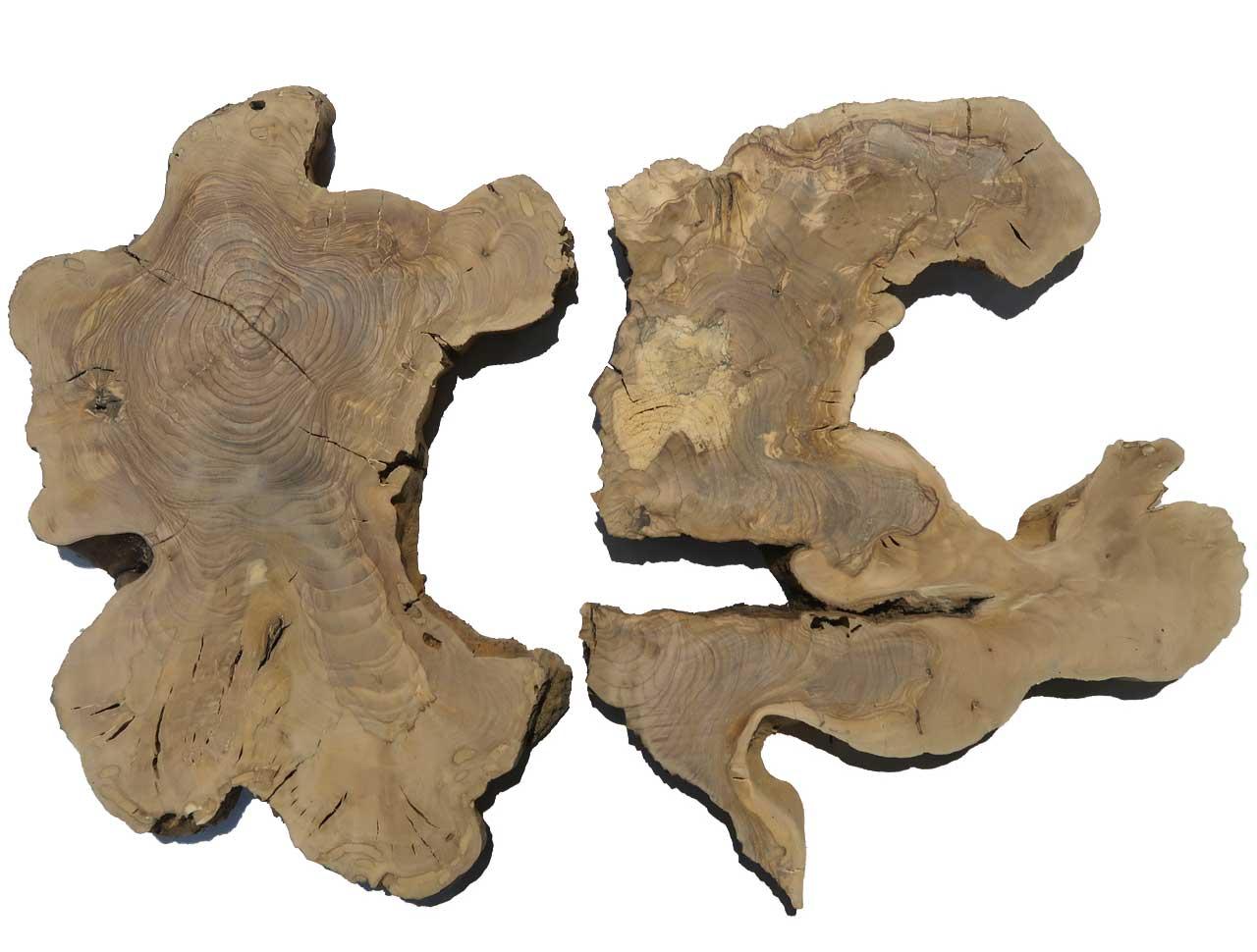 2x Oliven Wurzelholz Holz für Epoxid 47x36cm x 26-30mm #V4