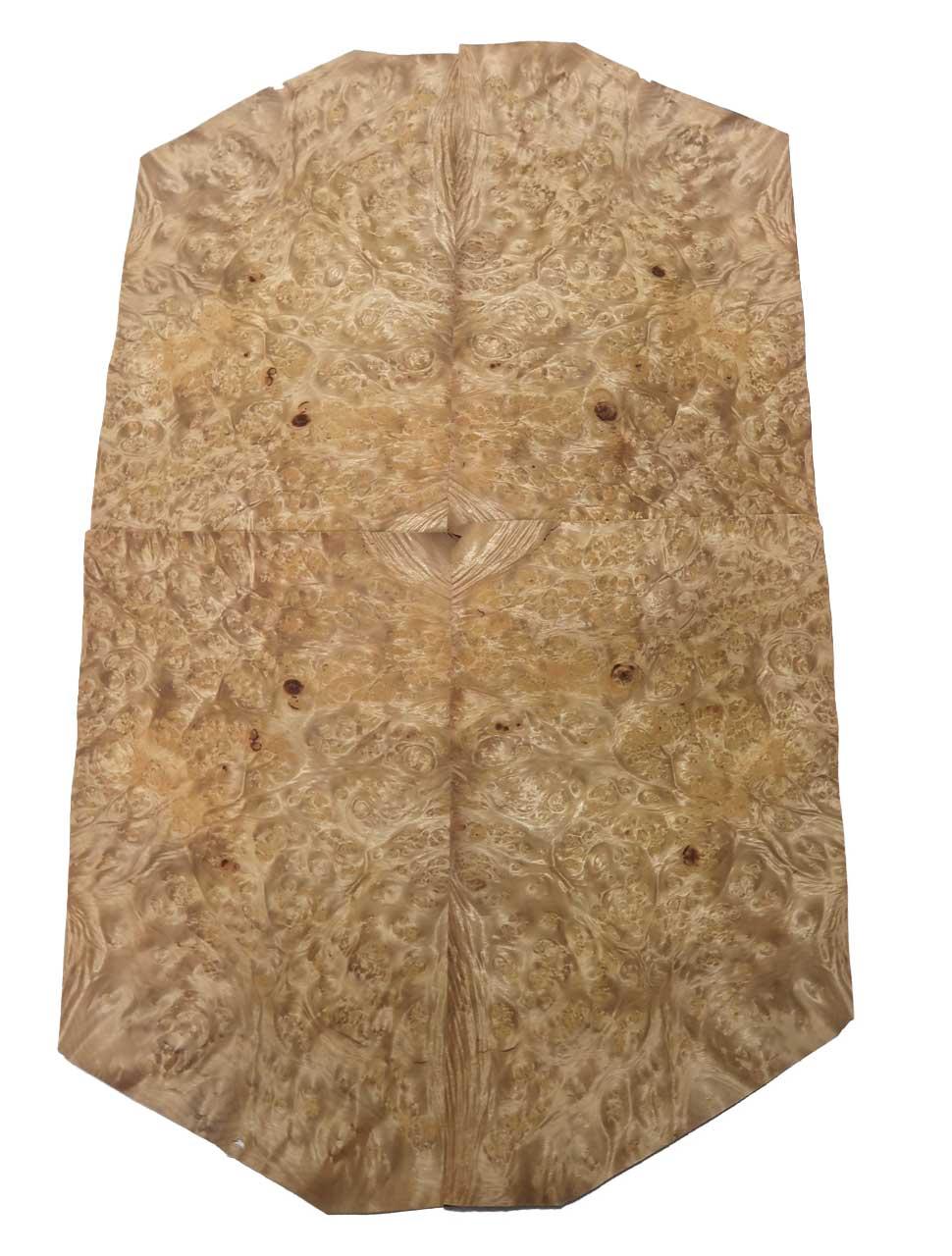 Golden Madrona Wurzelholz Furnier Intarsie 40x10-26cm 4 Blätter