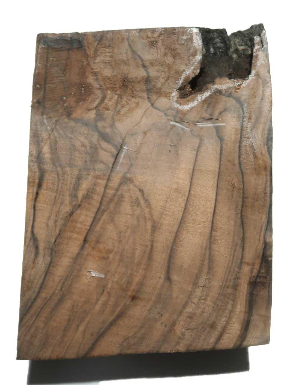 1x Nussbaum Wurzelholz Maser 22x16cm x 66-74mm