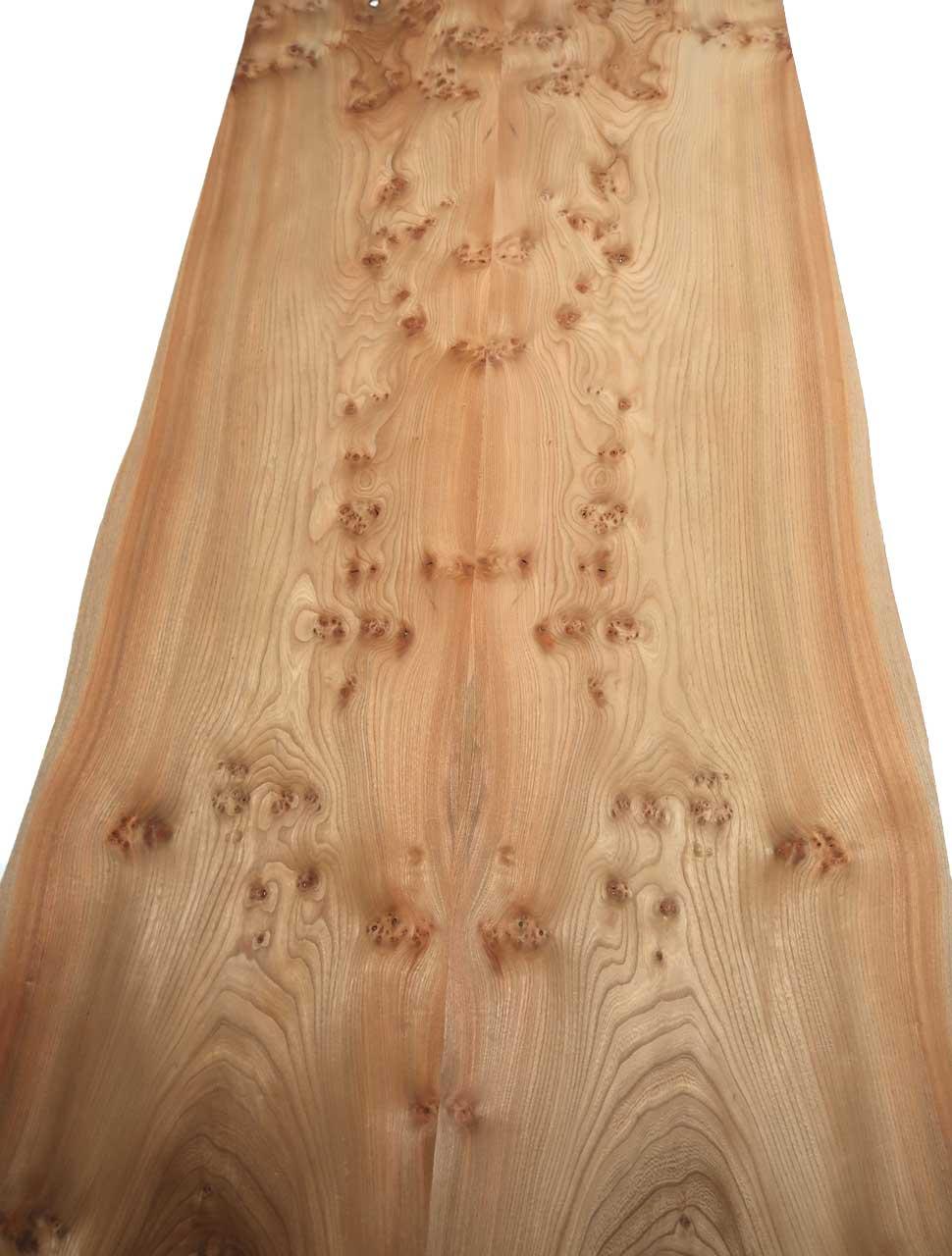Elm burl veneer wood burr 166x38-46cm 2 sheets