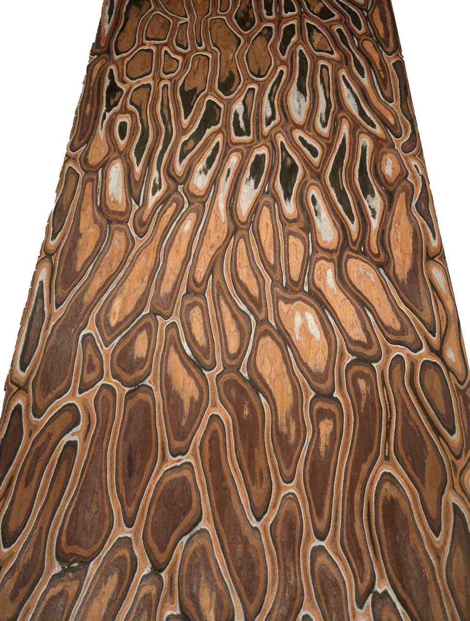 Anaconda Veneer Wood SaRaiFo Burl 250x63cm 