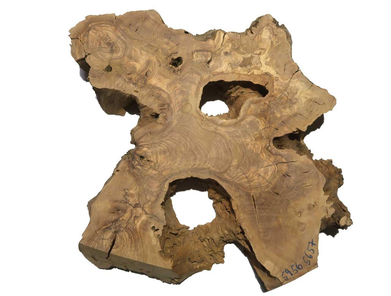 1x Oliven Wurzelholz Baumscheibe für Epoxid 59x56cm x 56-57mm