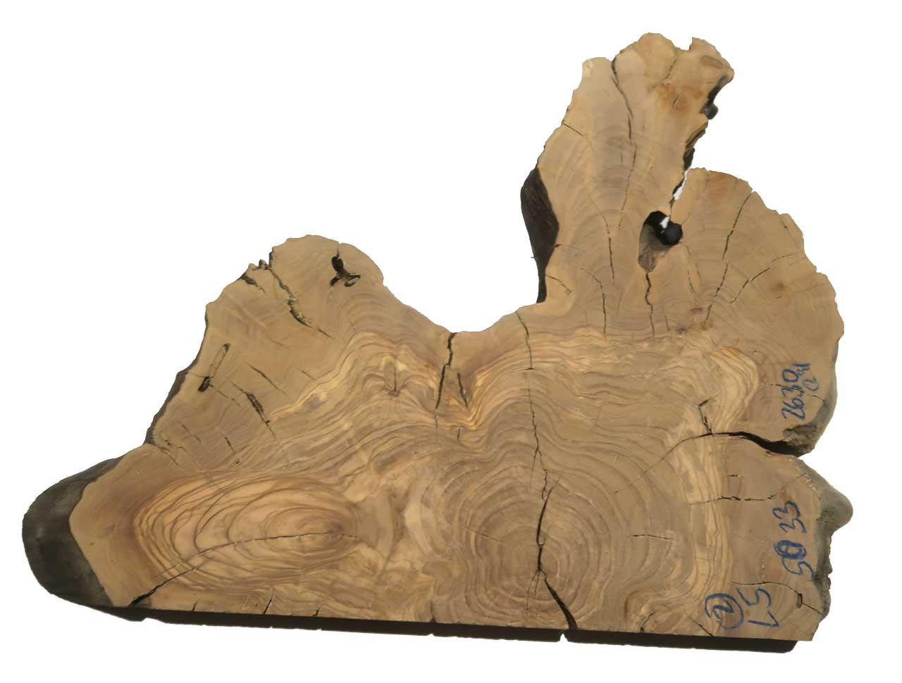 2x Oliven Wurzelholz Holz für Epoxid 50x33cm x 26-30mm #L5 Hase