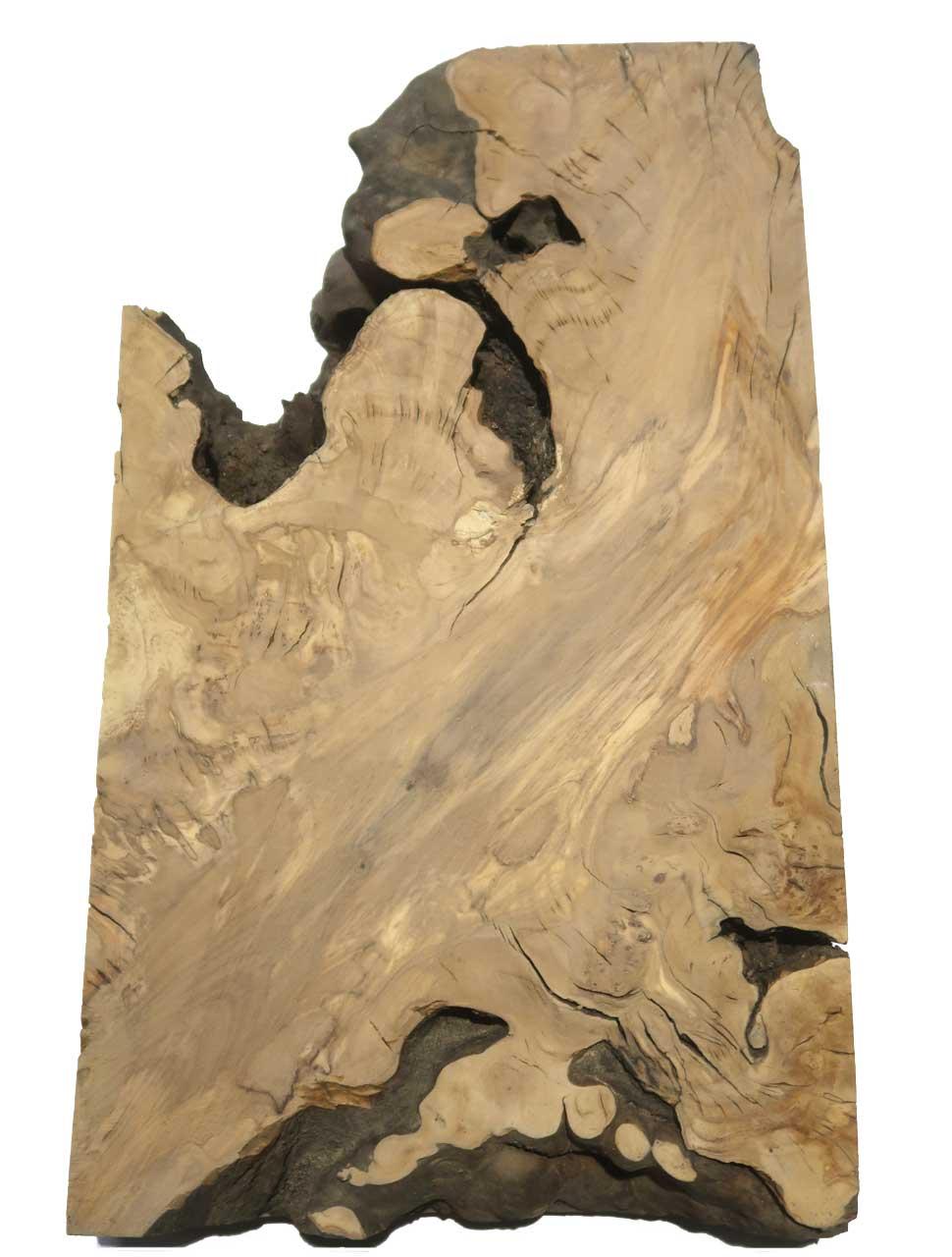 1x Oliven Wurzelholz Holz für Epoxid 40x16-24cm x 54-55mm