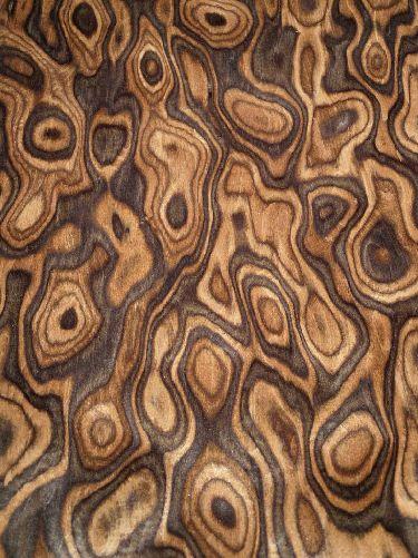 Walnut burl SaRaiFo burr wood veneer with Fleece 250x31/32cm