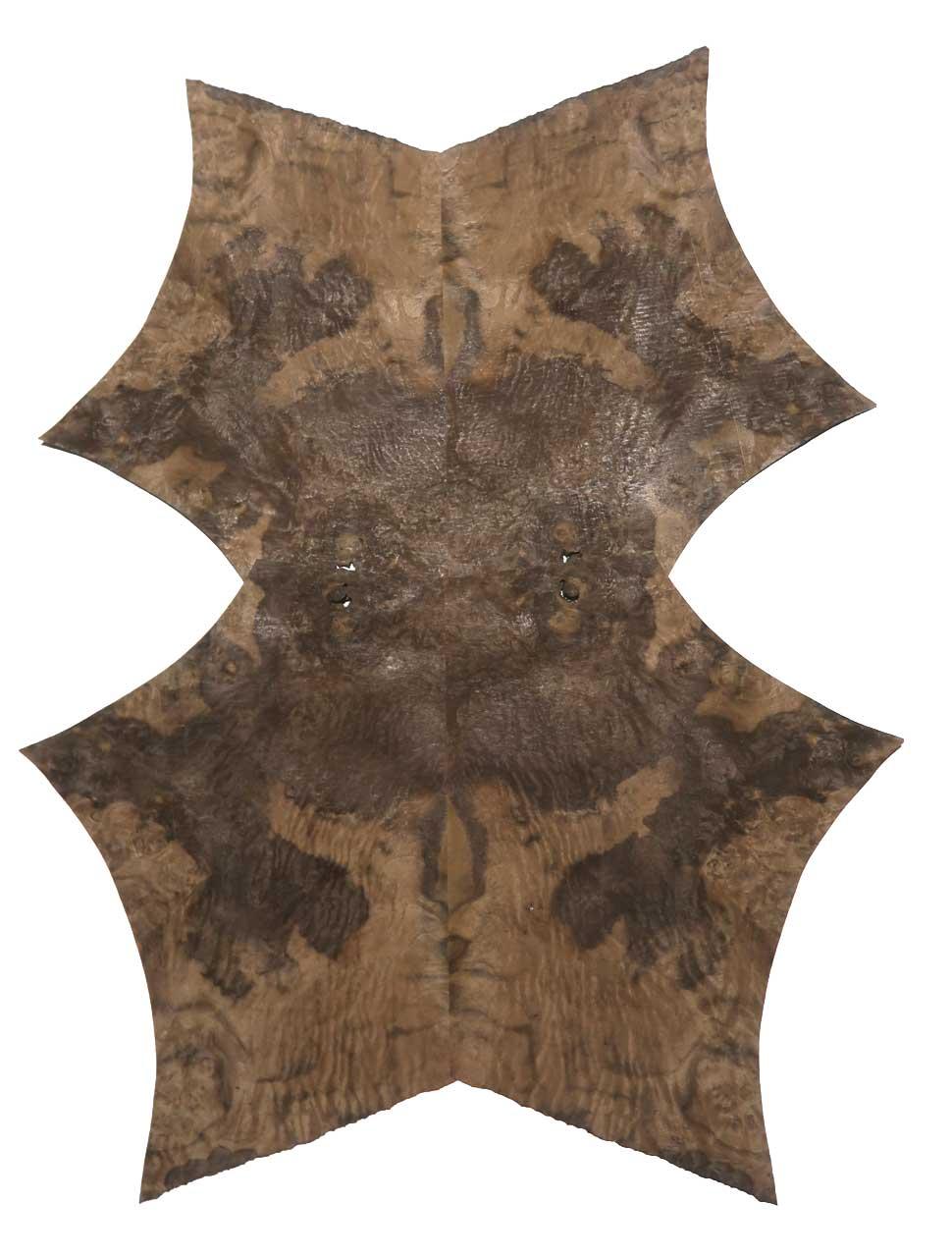 Nussbaum Wurzelholz Furnier Intarsien 35x16-28cm 12 Blätter