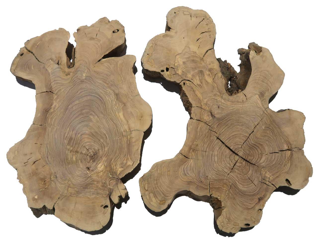 2x Oliven Wurzelholz Holz für Epoxid 46x25-33cm x 27-30mm #V9