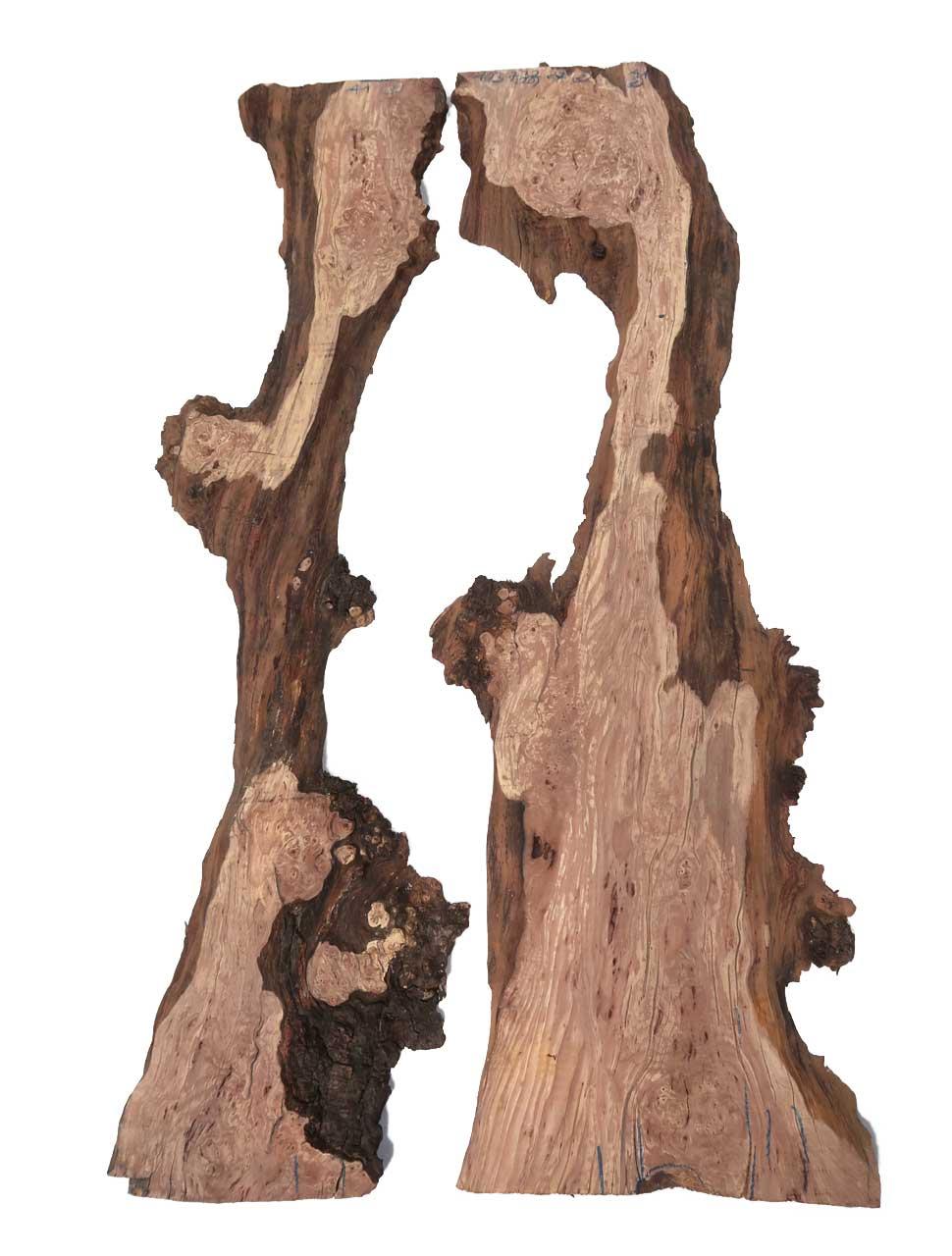 2x Wurzelholz Buche Maserholz Schwarzbuche 103x7-32cm x 27mm #A1
