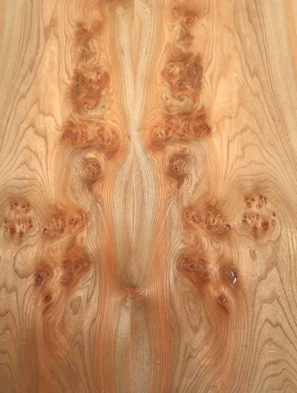 Elm burl veneer wood burr 136x36-40cm 2 sheet