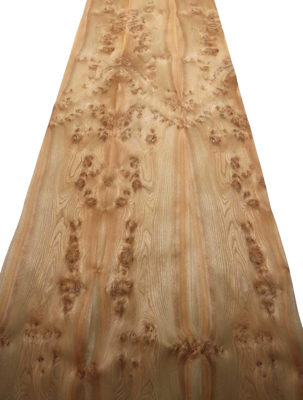 Rüster Maser Furnierholz Wurzelholz +++ 305x35-44cm 2 Blätter