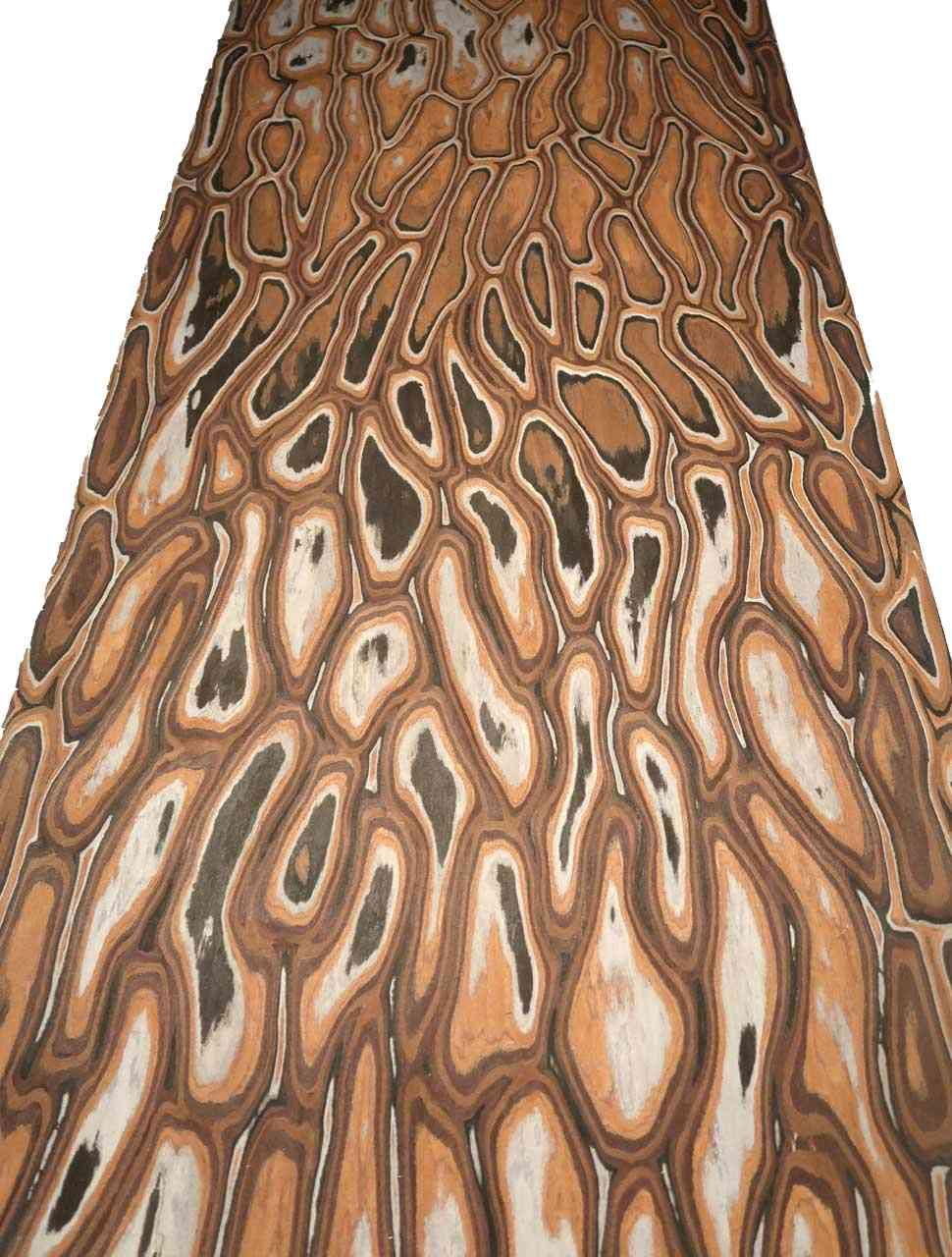 Anaconda Veneer Wood SaRaiFo Burl  250x31cm 