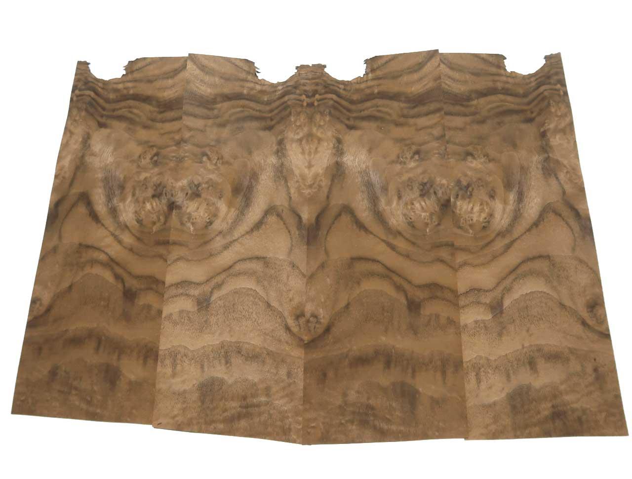 Nussbaum Wurzelholz Furnier Intarsien 34x12-14cm 25 Blätter