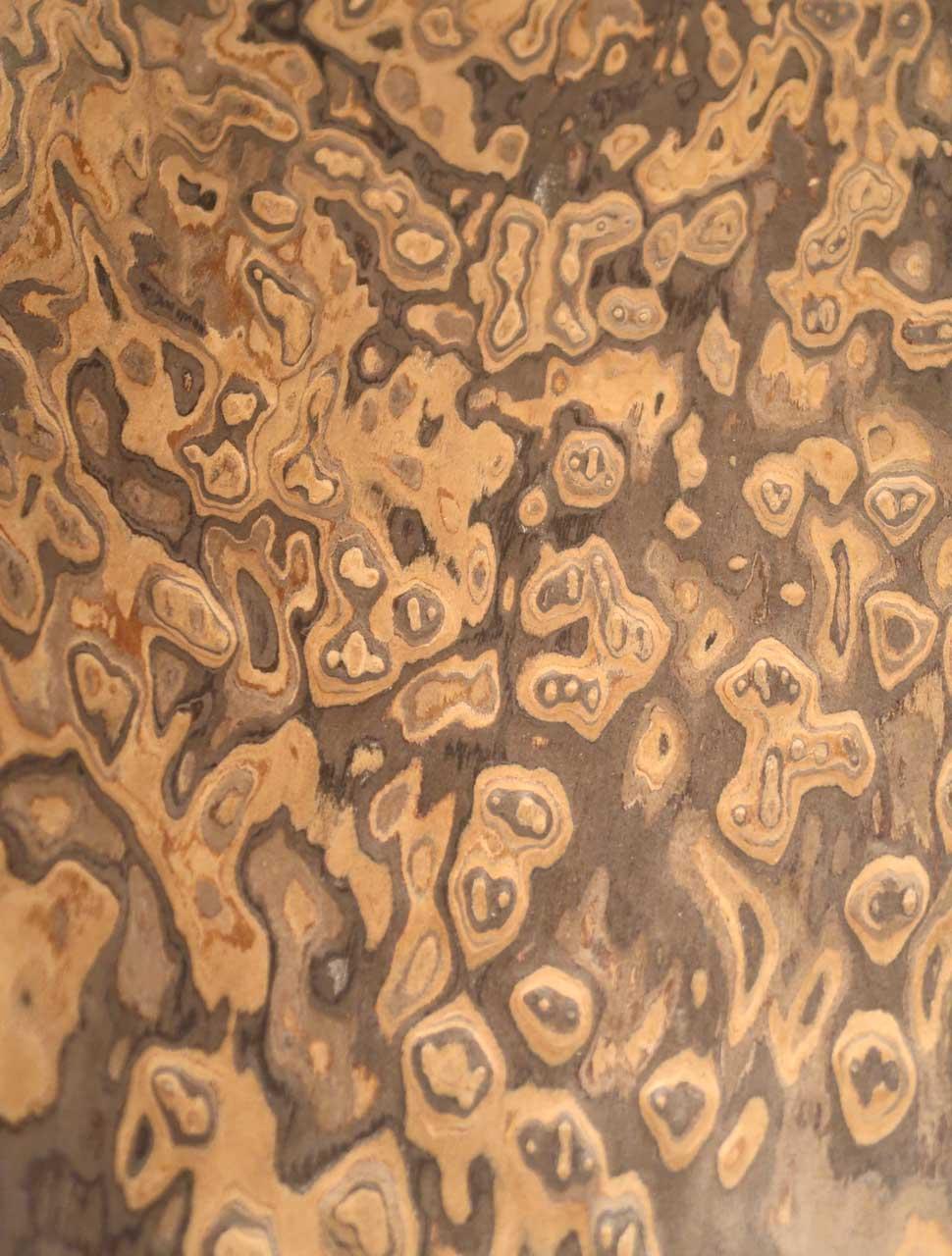 Claro Walnut burl veneer wood SaRaiFo 250x31-32cm x 0,5mm