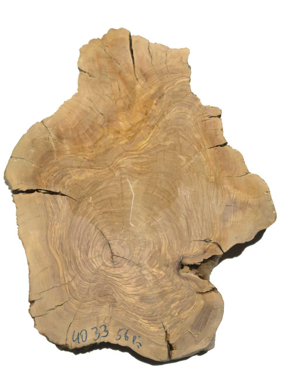 1x Oliven Wurzelholz Holz für Epoxid 40x33cm x 56mm