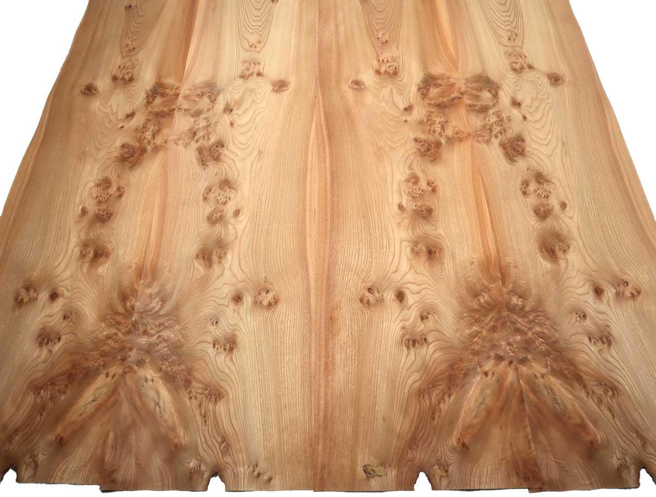 Elm burl veneer wood burr 135x34-38cm 2 sheets