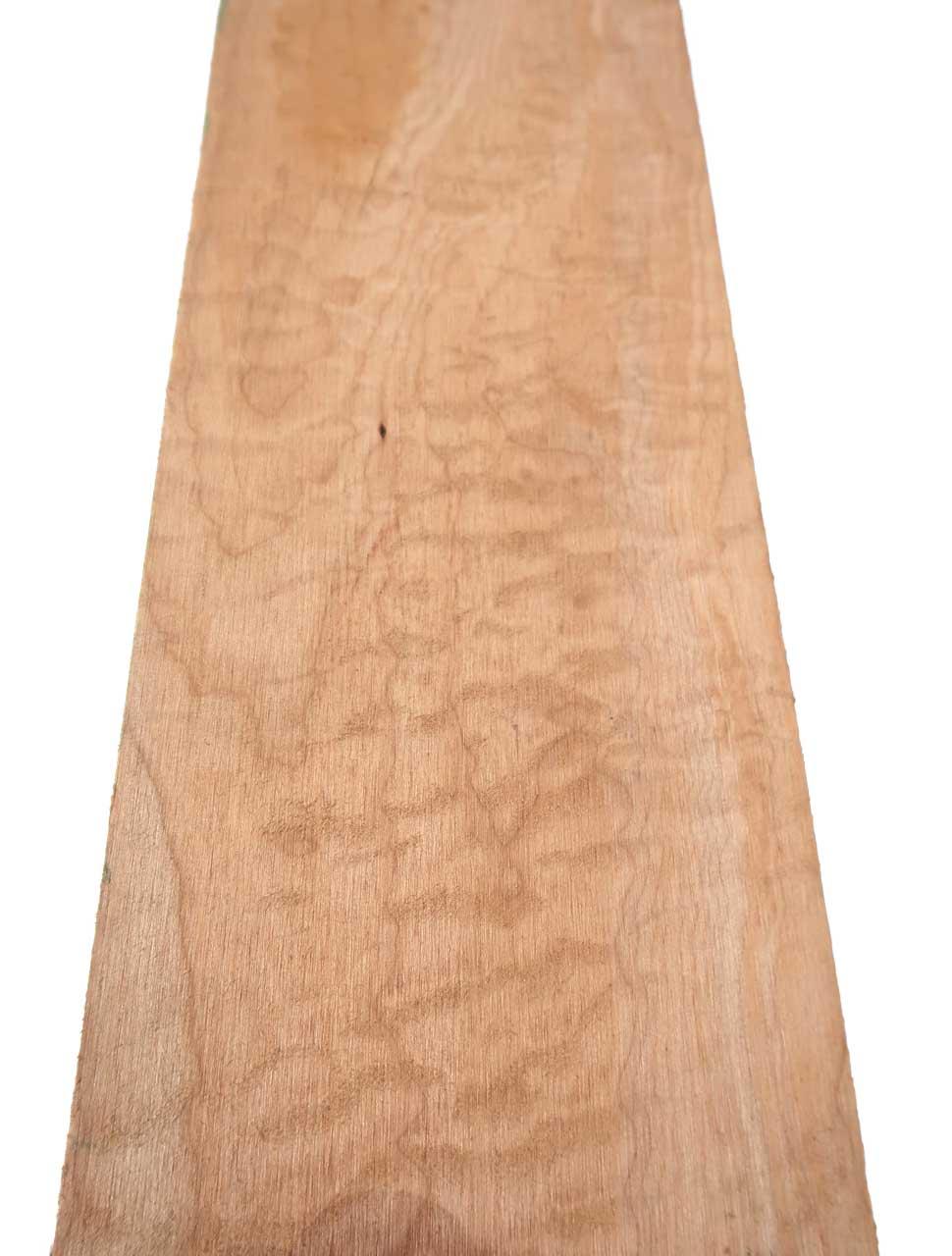 1x Muschel Ahorn Quilted Maple Tonholz 77x18cm x 48-50mm