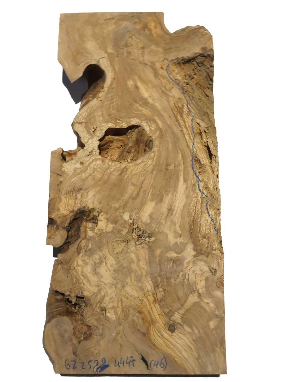 1x Oliven Wurzelholz Holz für Epoxid 62x25-28cm x 44-47mm