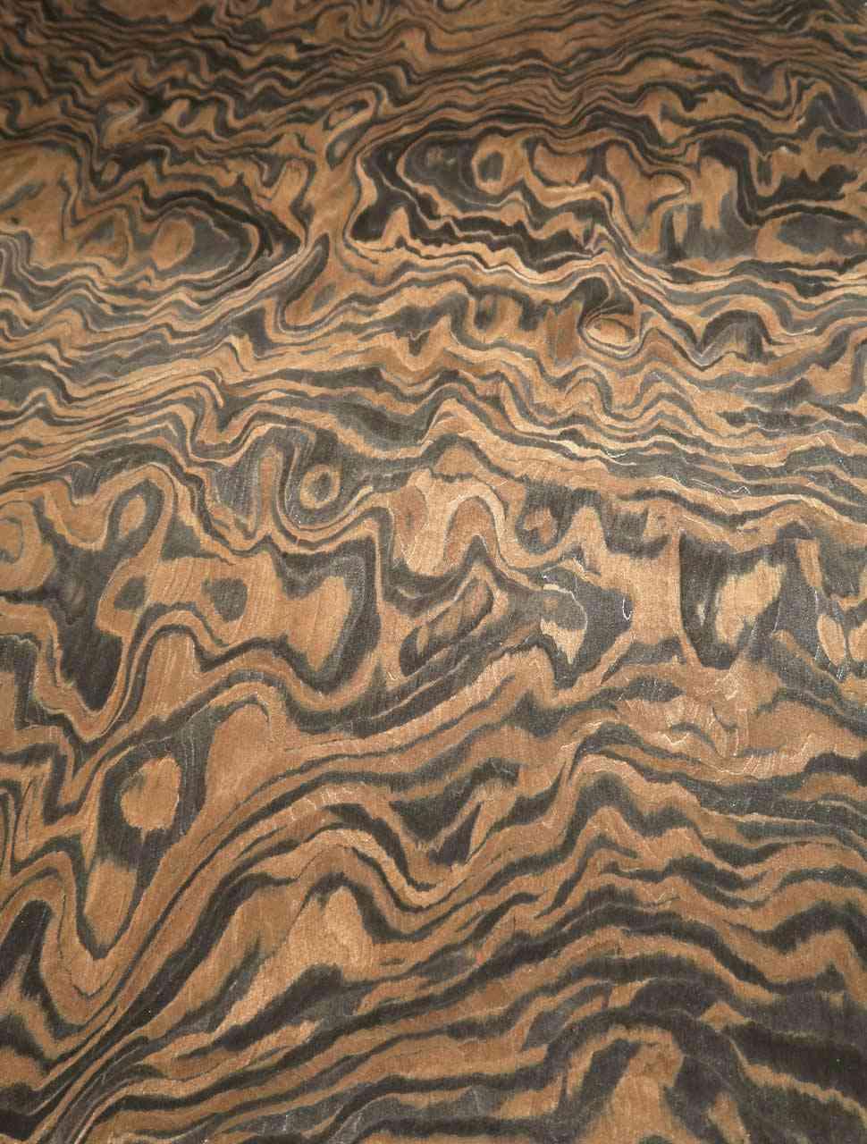 Ebono burl veneer SaRaiFo walnut burr 250x32cm
