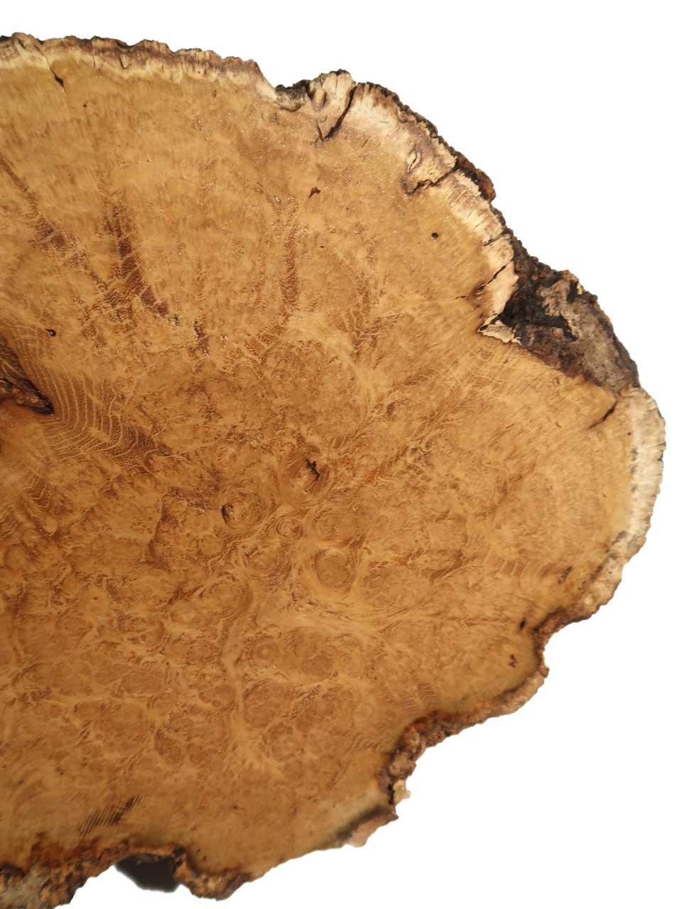 Akazienholz Maser Robinie Wurzelholz Akazie 45x31cm x 85mm