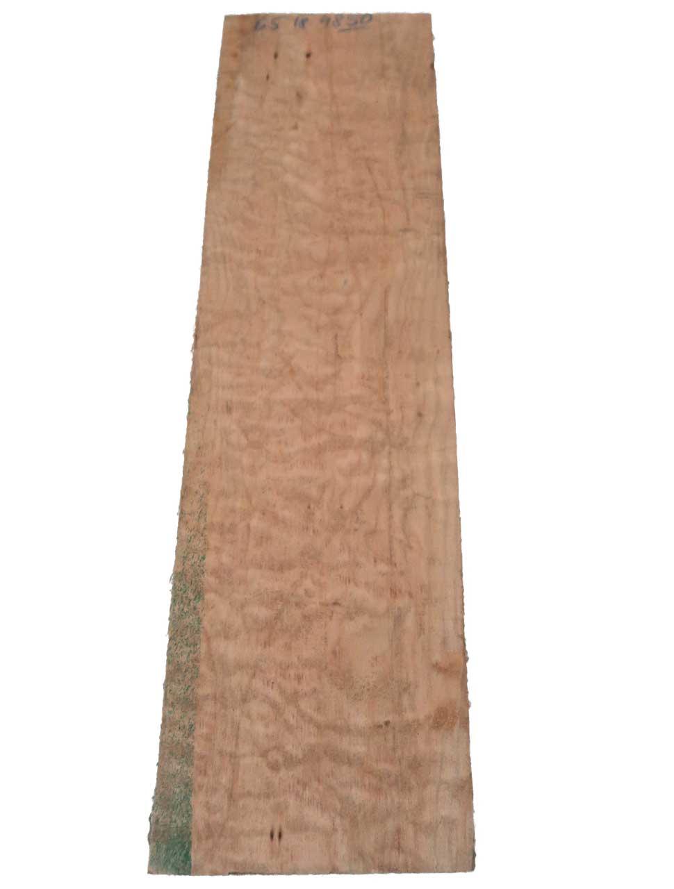 1x Muschel Ahorn Quilted Maple Tonholz 65x18cm x 48-50mm