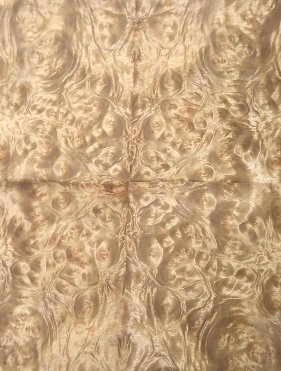 Golden Madrona Wurzelholz Furnierholz 37x25-26cm 5 Blätter