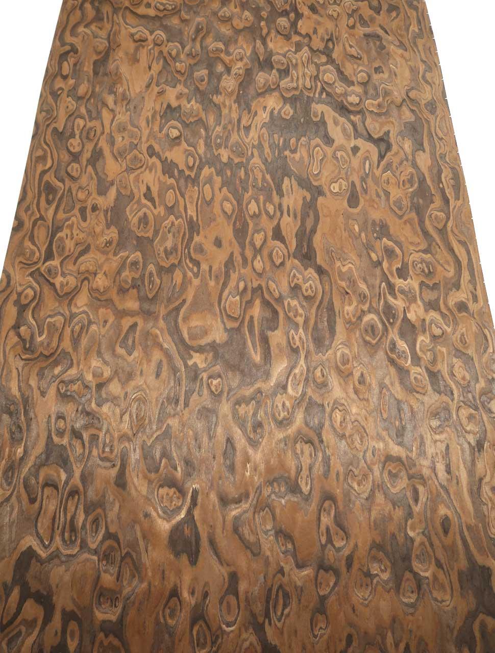 Claro Walnut burl veneer wood SaRaiFo 250x64cm x 0,5mm