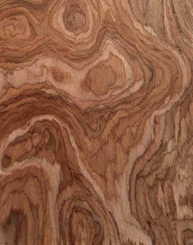 Hazel Burl SaRaiFo burr wood veneer with Fleece 250x30-31cm
