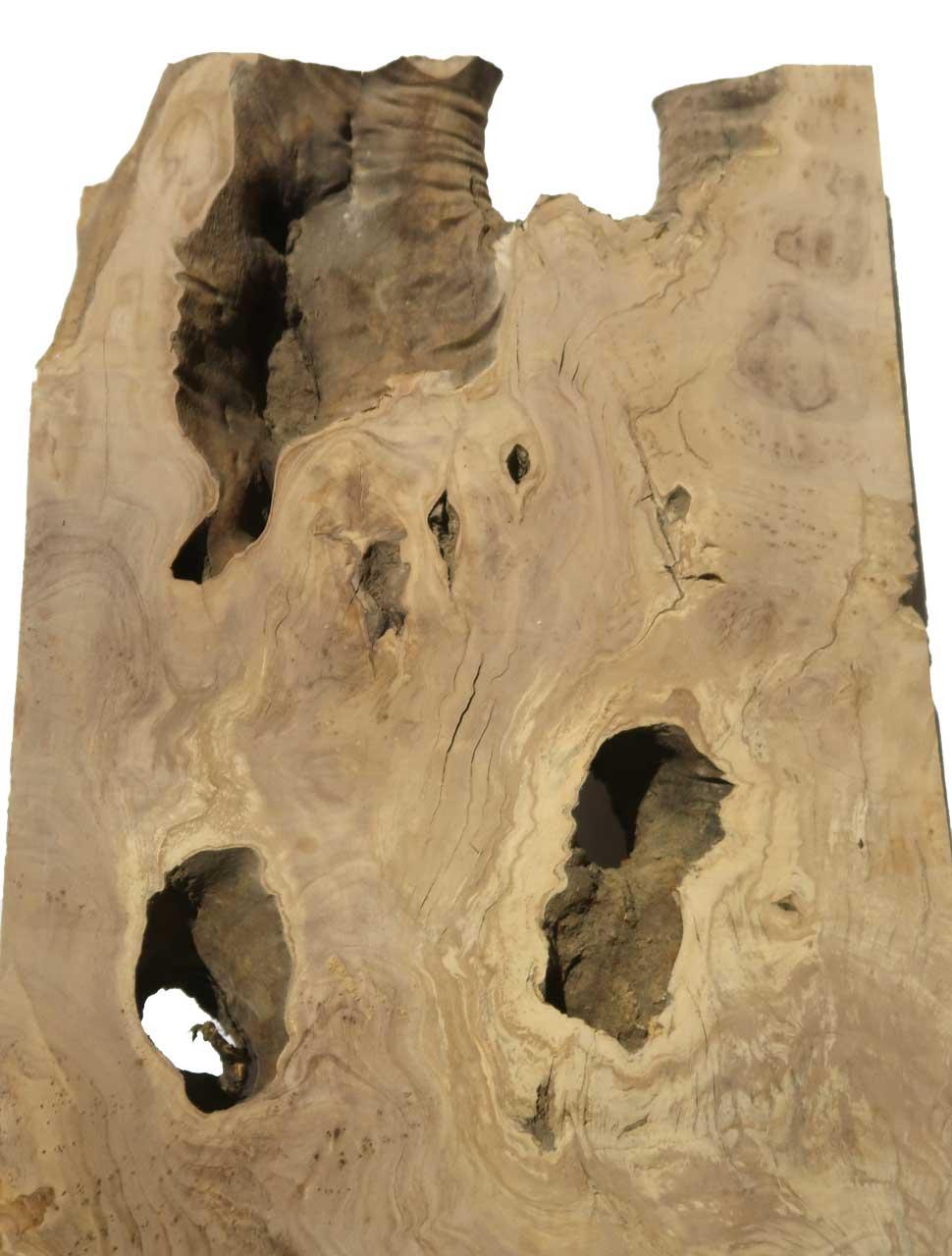 1x Oliven Wurzelholz Holz für Epoxid 59x25-29cm x 58-59mm