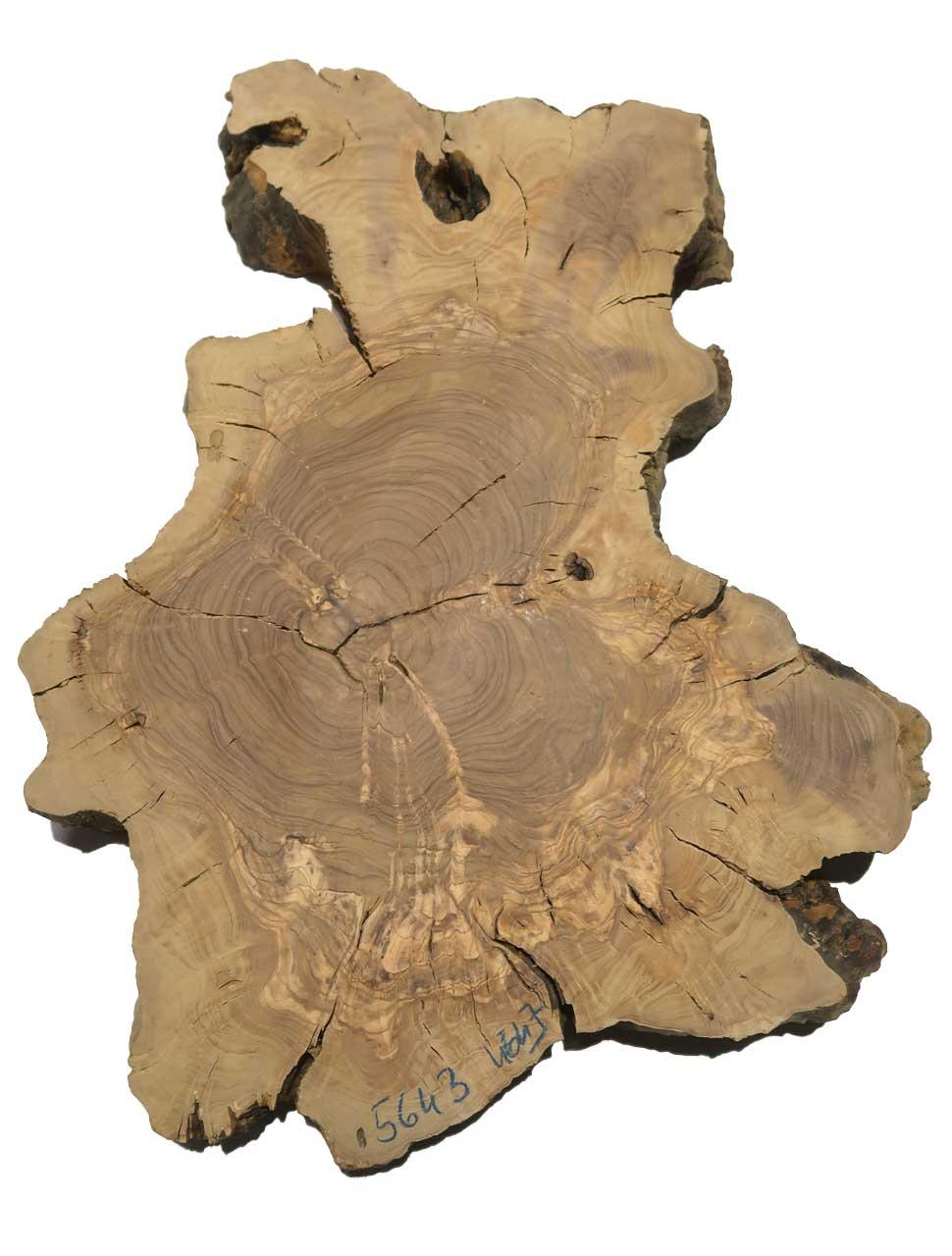 1x Oliven Wurzelholz Baumscheibe für Epoxid 56x43cm x 46-47mm