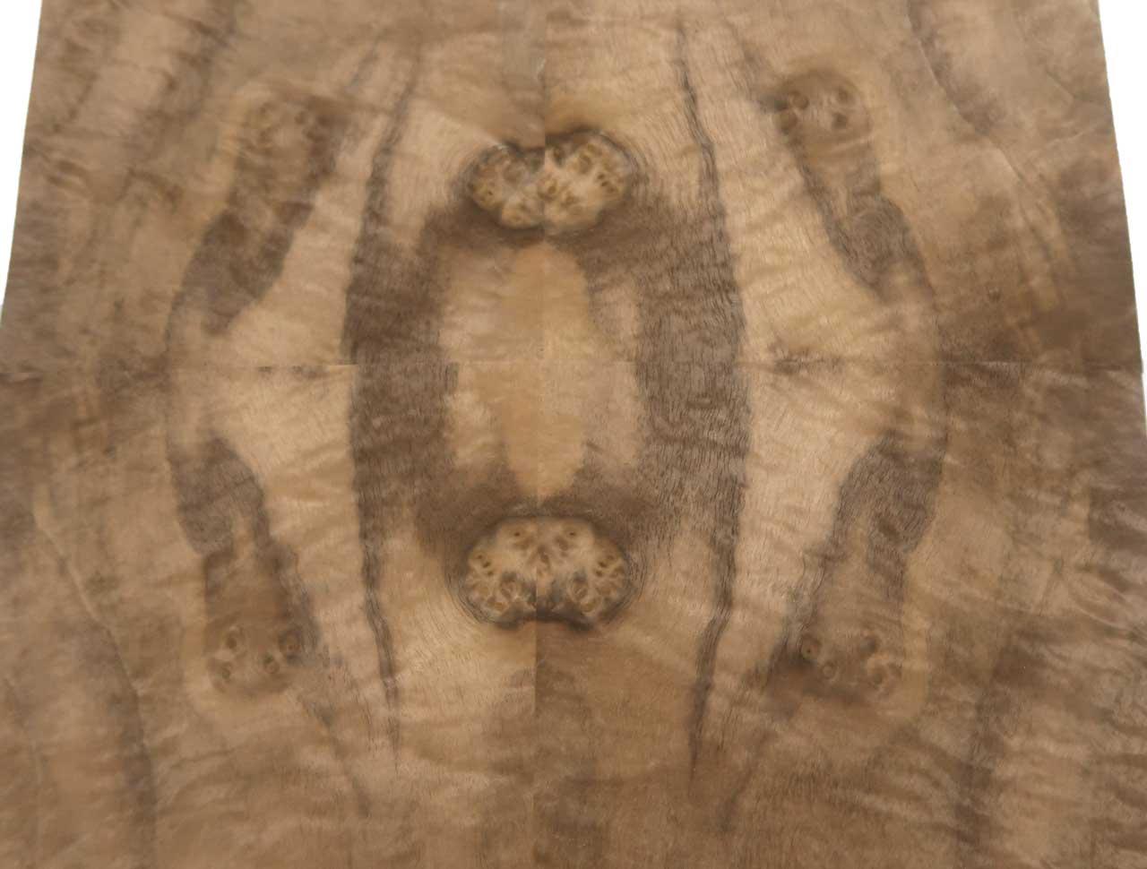 Nussbaum Wurzelholz Furnier Intarsien 20x19,5cm 17 Blätter