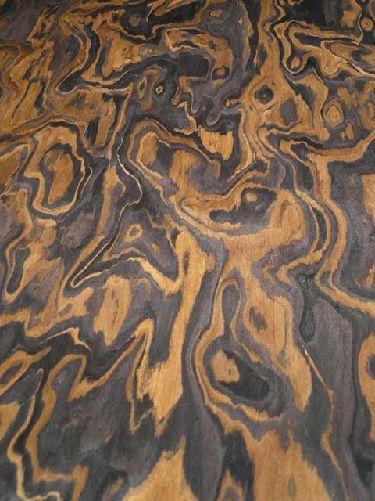 Macassar burl veneer SaRaiFo walnut burr 250x31cm