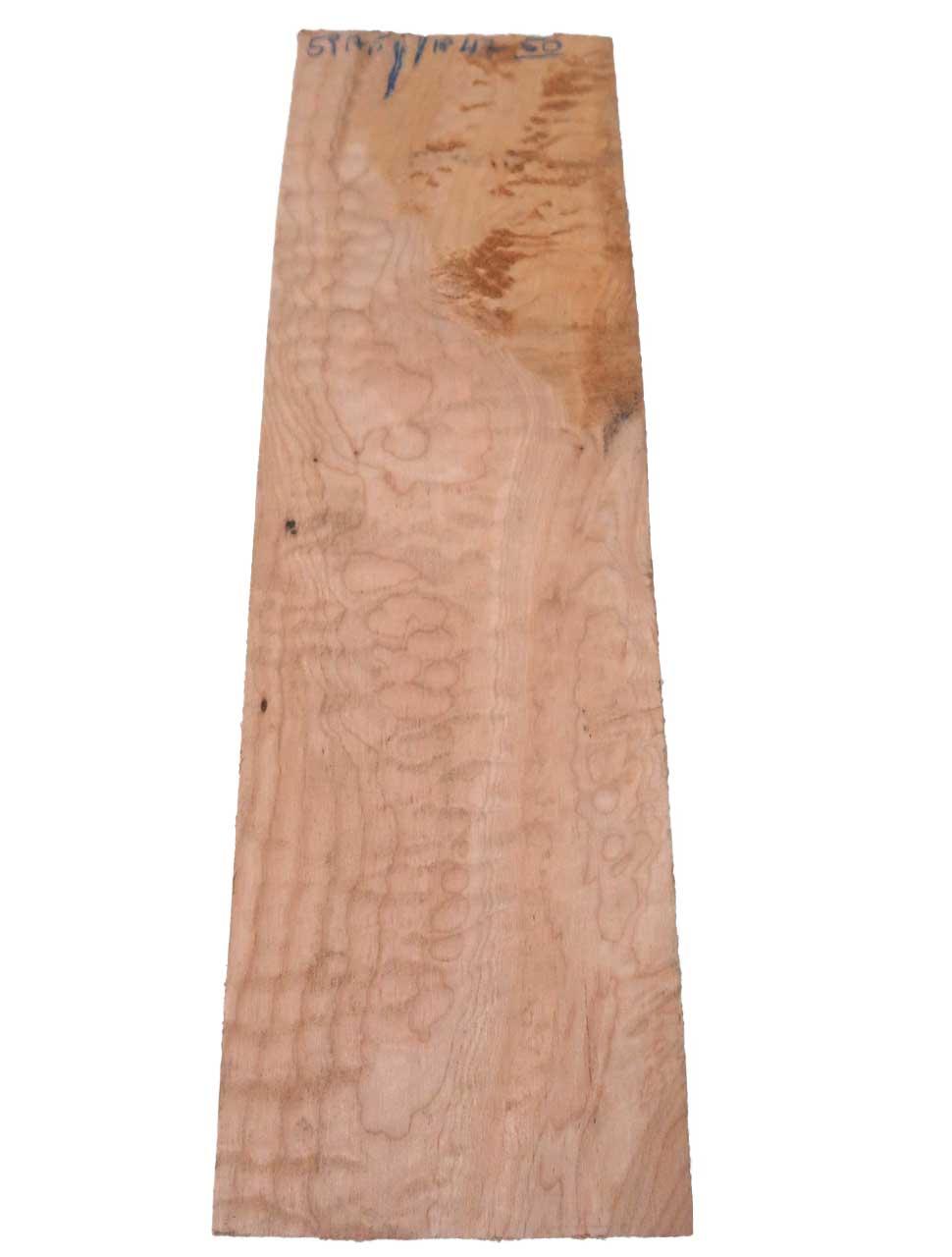 1x Muschel Ahorn Quilted Maple Tonholz 59x17,5-18cm x 47-50mm