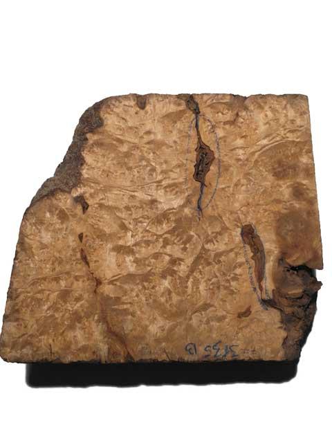 Golden Madrona Wurzelholz Maserholz 31x35x13cm