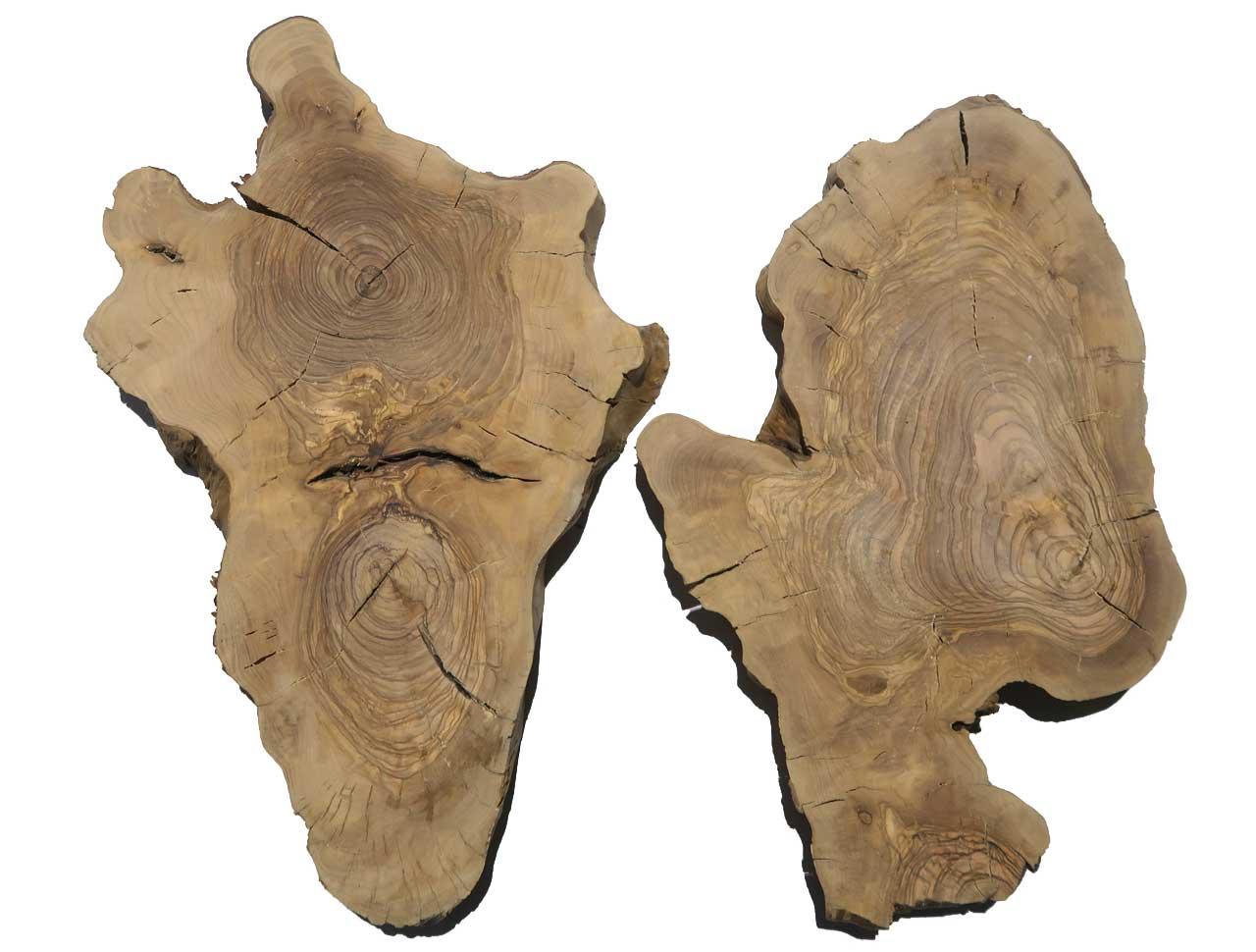 2x Oliven Wurzelholz Holz für Epoxid 49x30cm x 28-30mm #V6