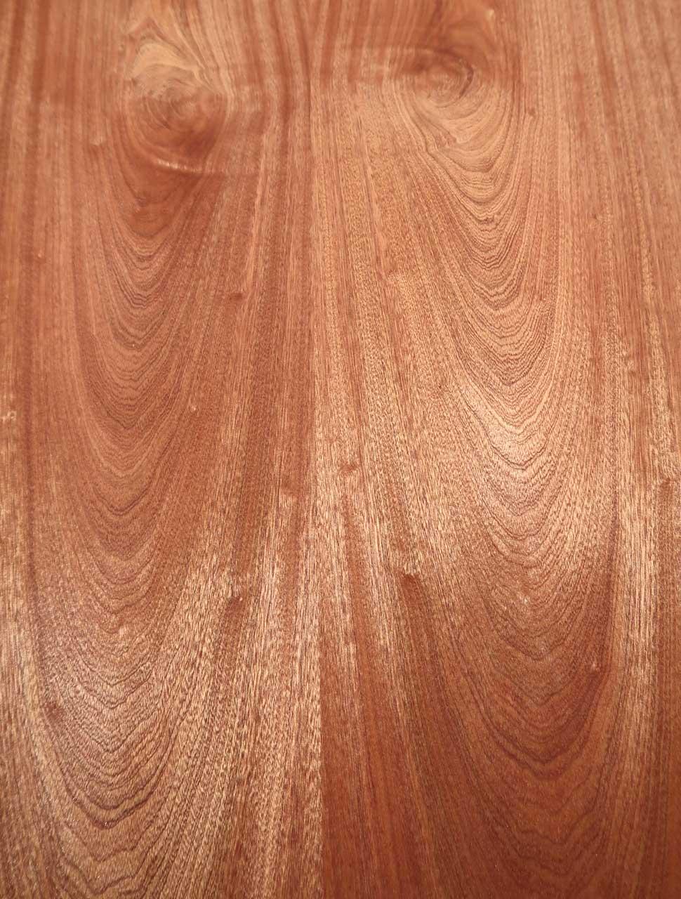 Mahogany veneer wood Sapeli Crown cut 250x61-64cm