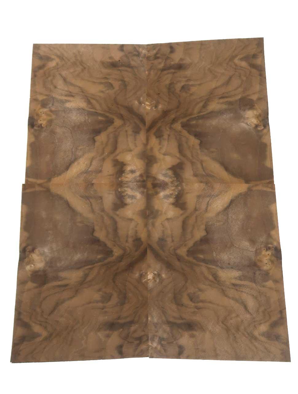 Nussbaum Wurzelholz Furnier Intarsien 27x21cm 23 Blätter